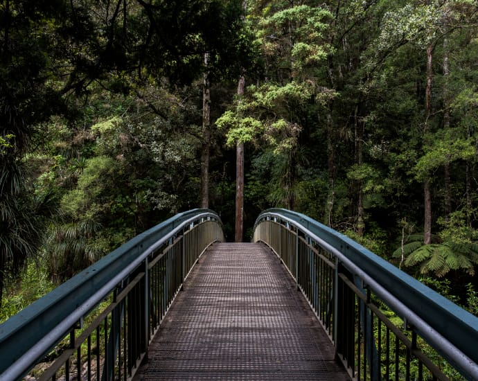 Brücke in einem Wald